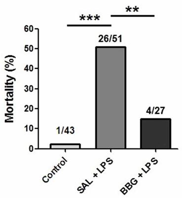 LPS-Induced Systemic Neonatal Inflammation: Blockage of P2X7R by BBG Decreases Mortality on Rat Pups and Oxidative Stress in Hippocampus of Adult Rats